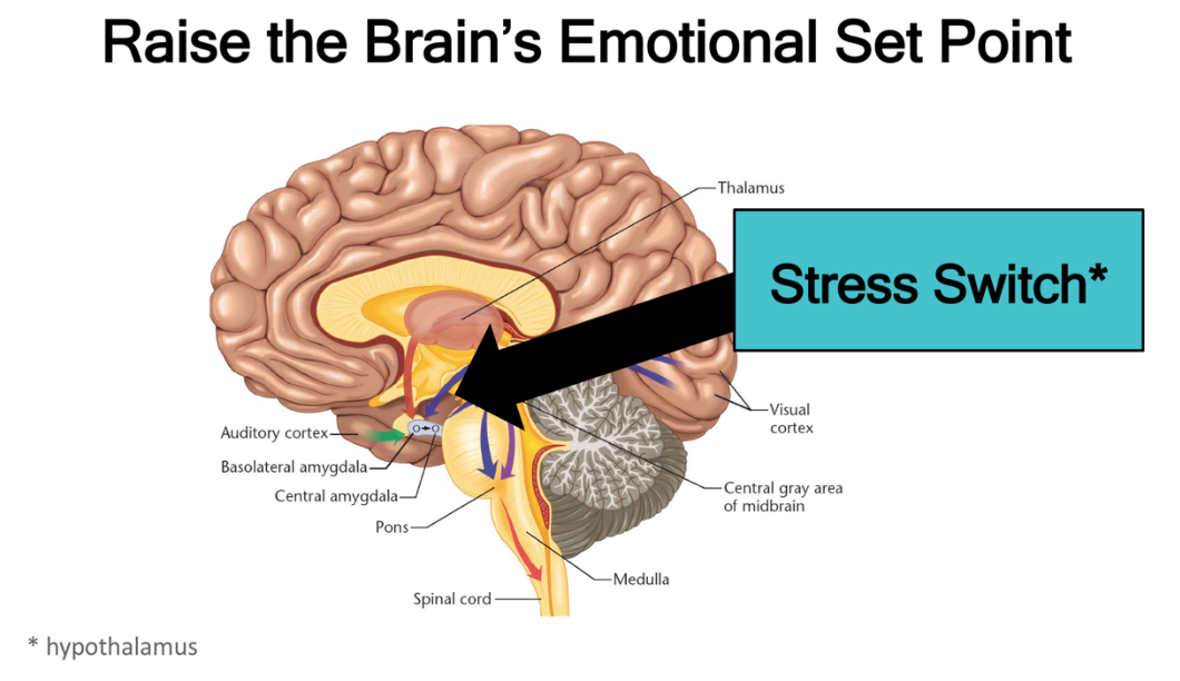 Emotional Brain Training